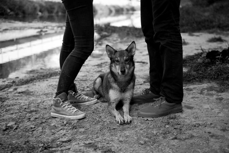 intime schwarz-weiß Paarfotos mit Hund in Wien Barbara Wenz Fotografie