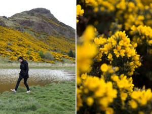 Flitterwochen Reise Tipps für die Hochzeitsreise nach Schottland von Destination Wedding Photographer Austria