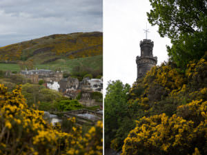 Flitterwochen Reise Tipps für die Hochzeitsreise nach Schottland von Destination Wedding Photographer Austria