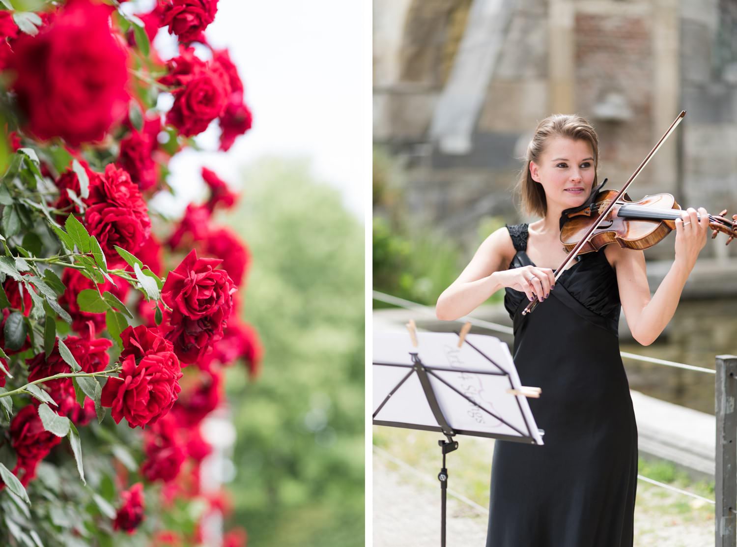 Heiratsantrag mit Fotoshooting in Schönbrunn