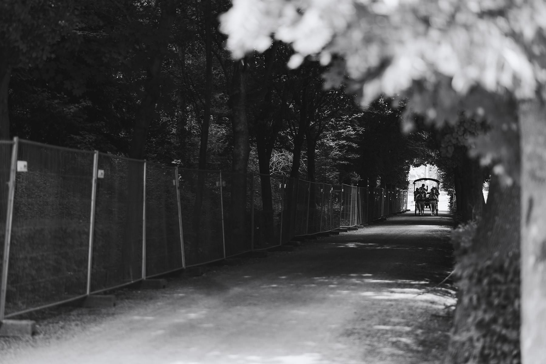 Heiratsantrag mit Fotoshooting in Schönbrunn