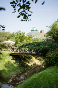 Hochzeitslocations Wien Umgebung Garten