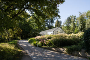 Hochzeitslocations Wien Umgebung Garten